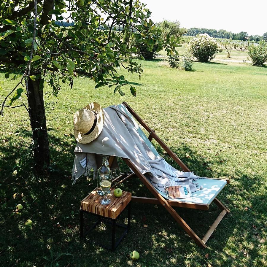 Le Mas Saint Philippe Jonquieres  Exterior photo